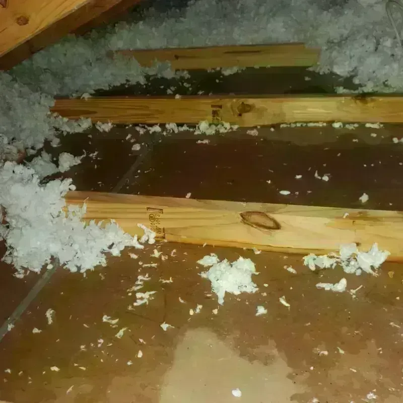 Attic Water Damage in Fairview, CA