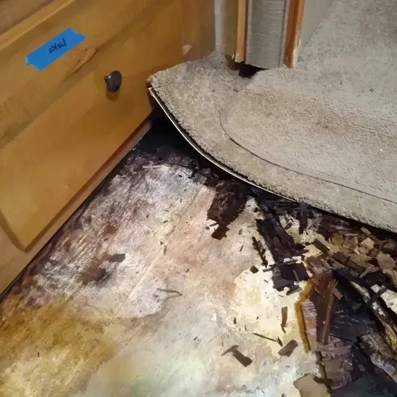 Wood Floor Water Damage in Fairview, CA